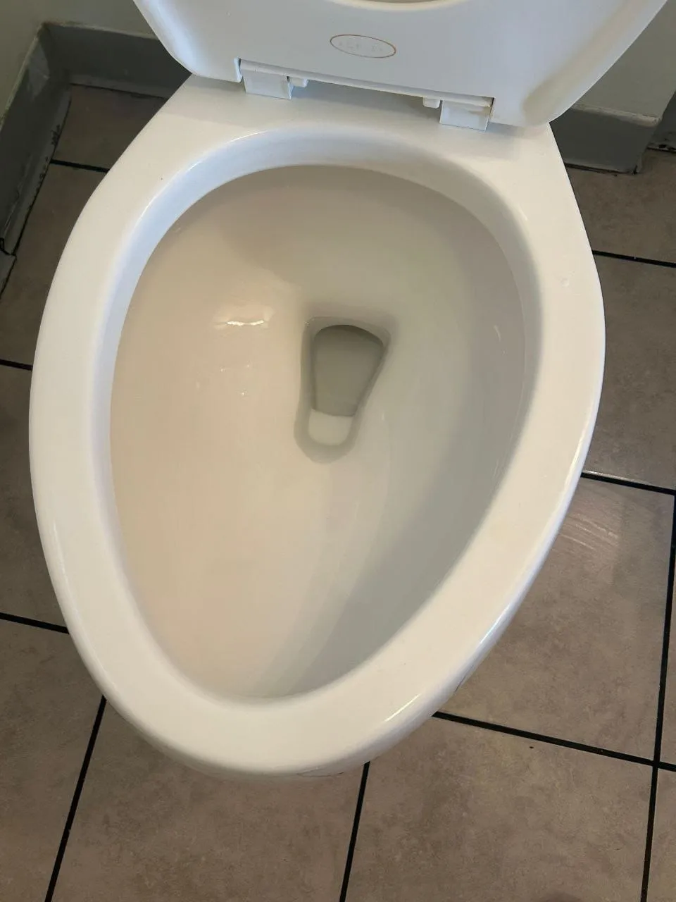 A clean white toilet with the lid up, after cleaning