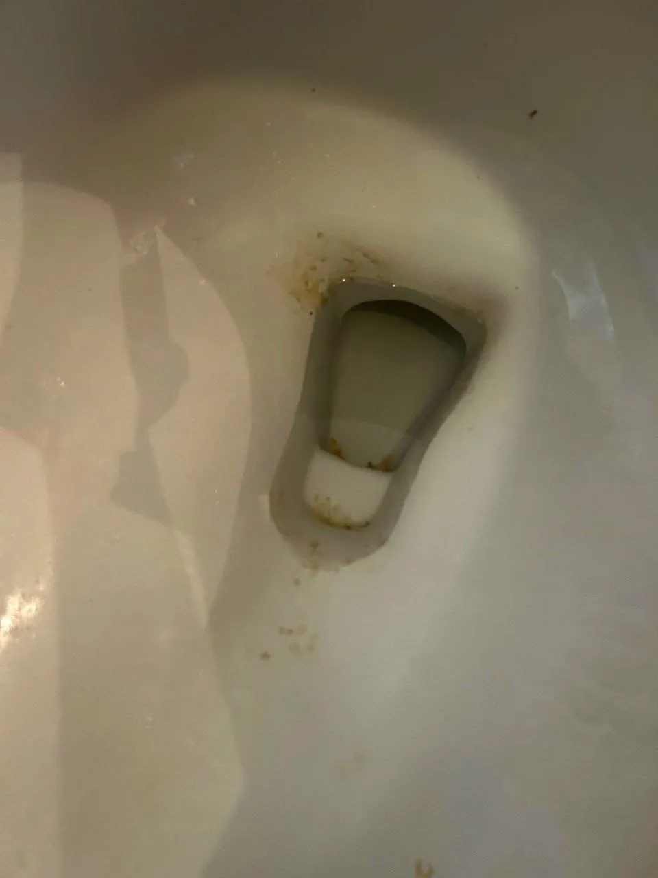 Close-up of a toilet bowl with rust-colored buildup, before cleaning